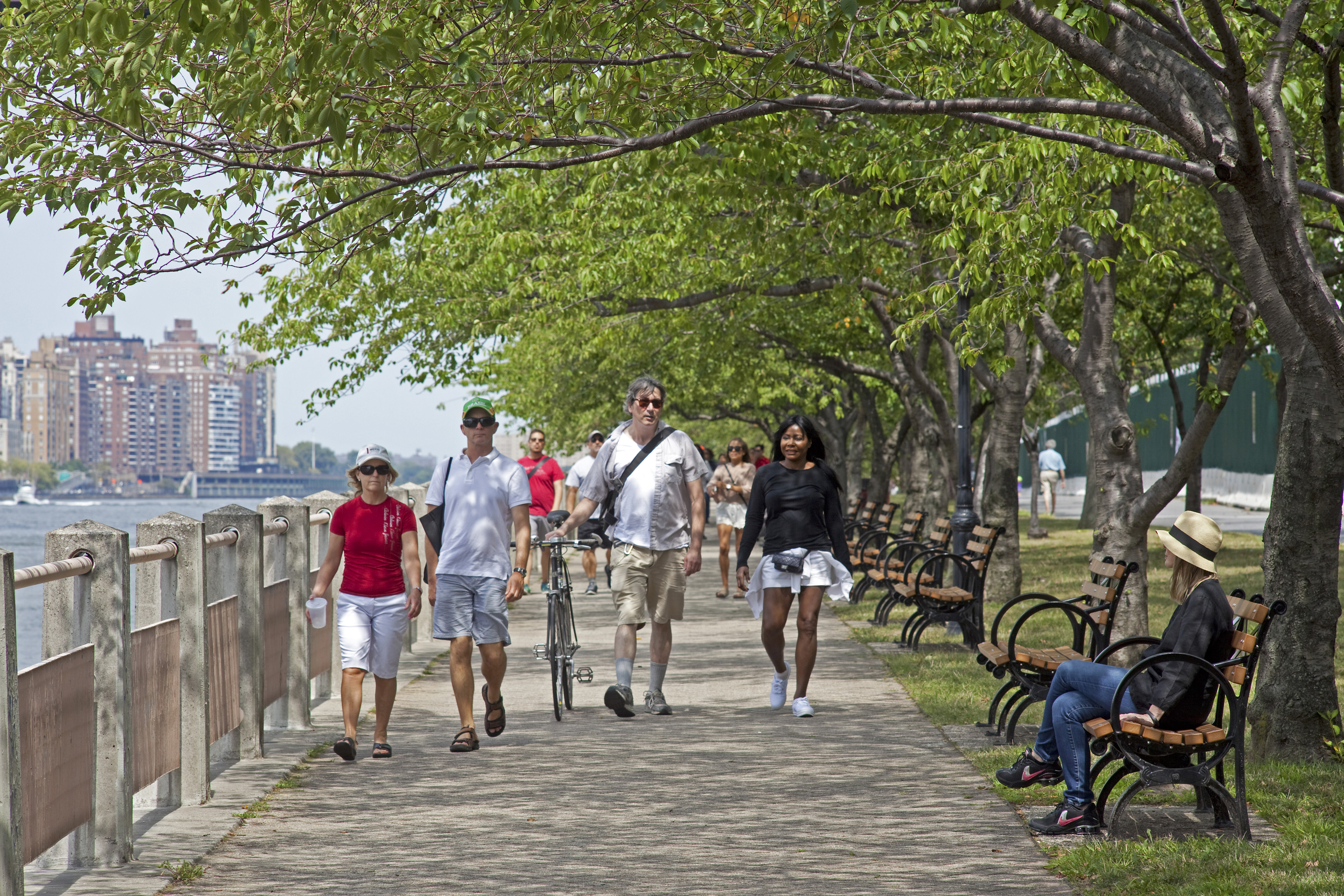 Roosevelt Island highlights