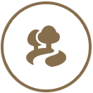 park icon