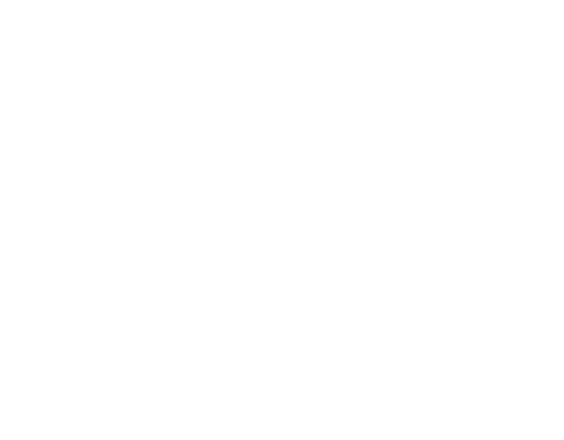 the emerson
