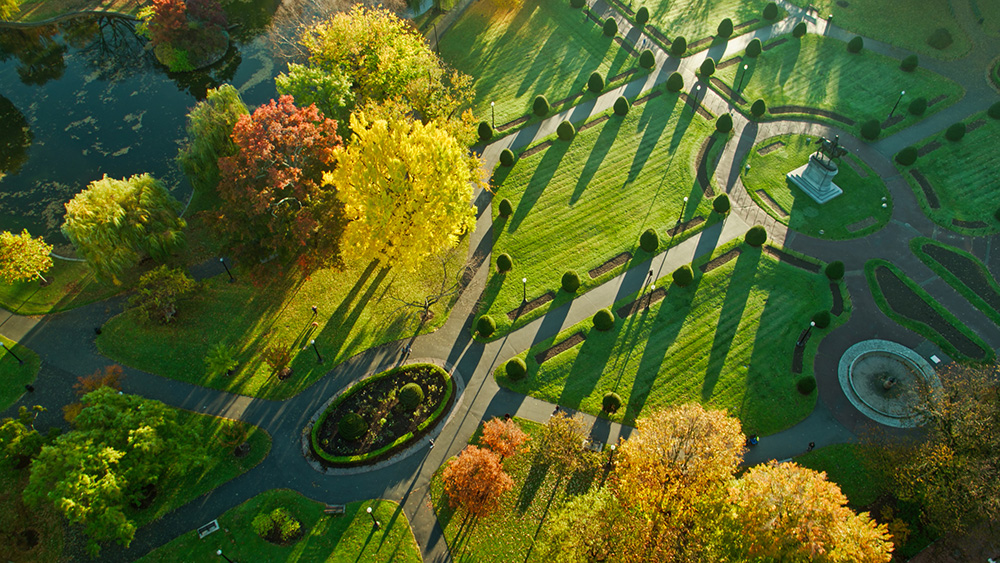 Boston Common