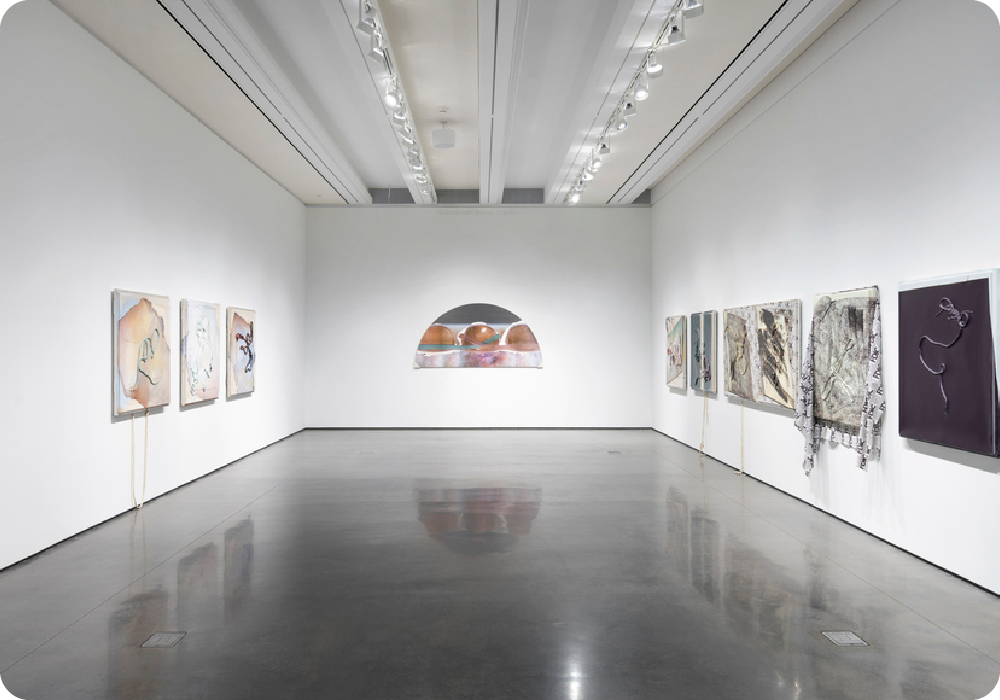 Petzel Gallery:&nbsp;Seth Price