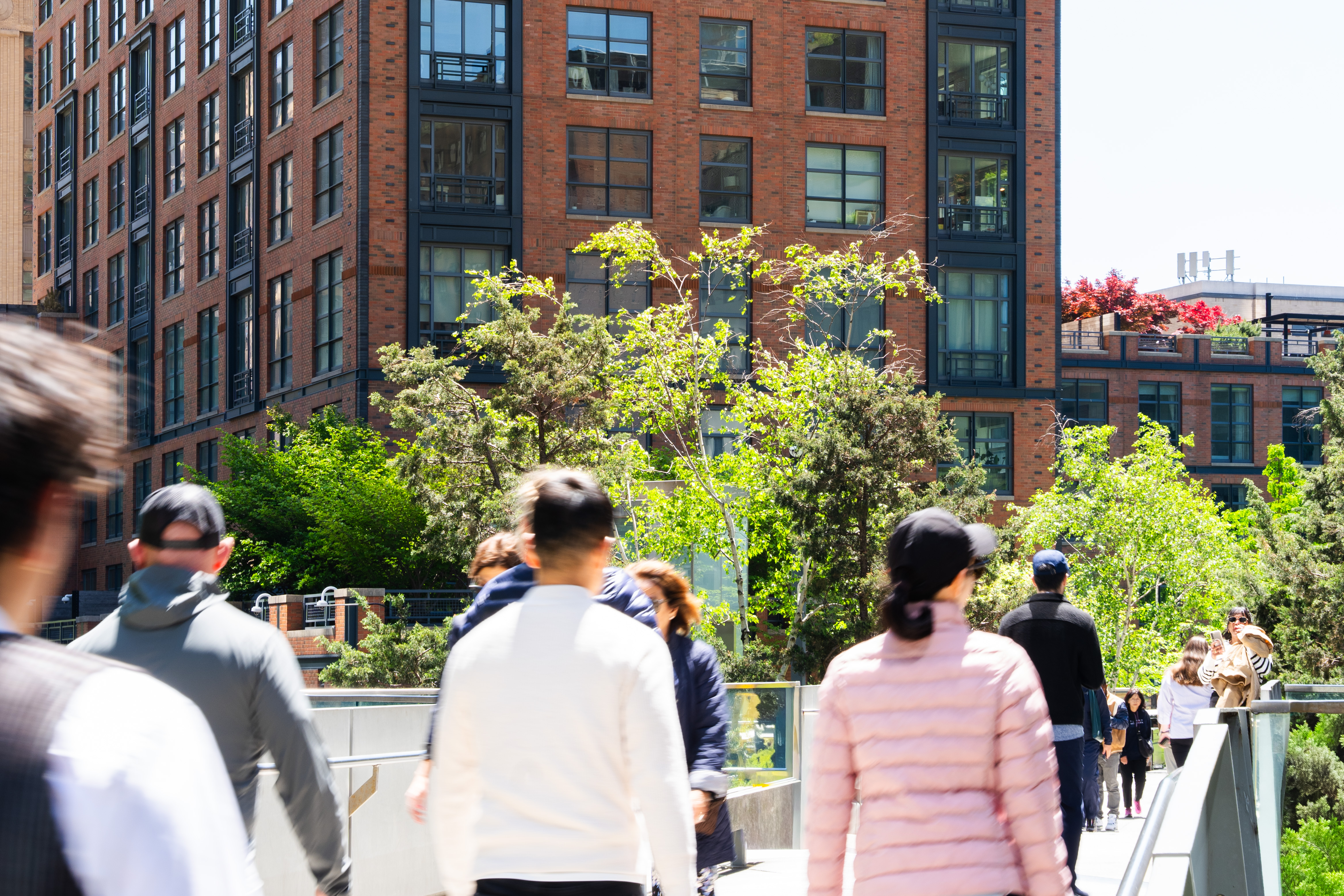 The High Line in NYC