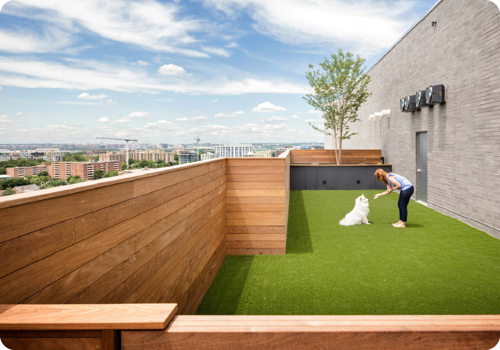 DC Dog Friendly Apartment