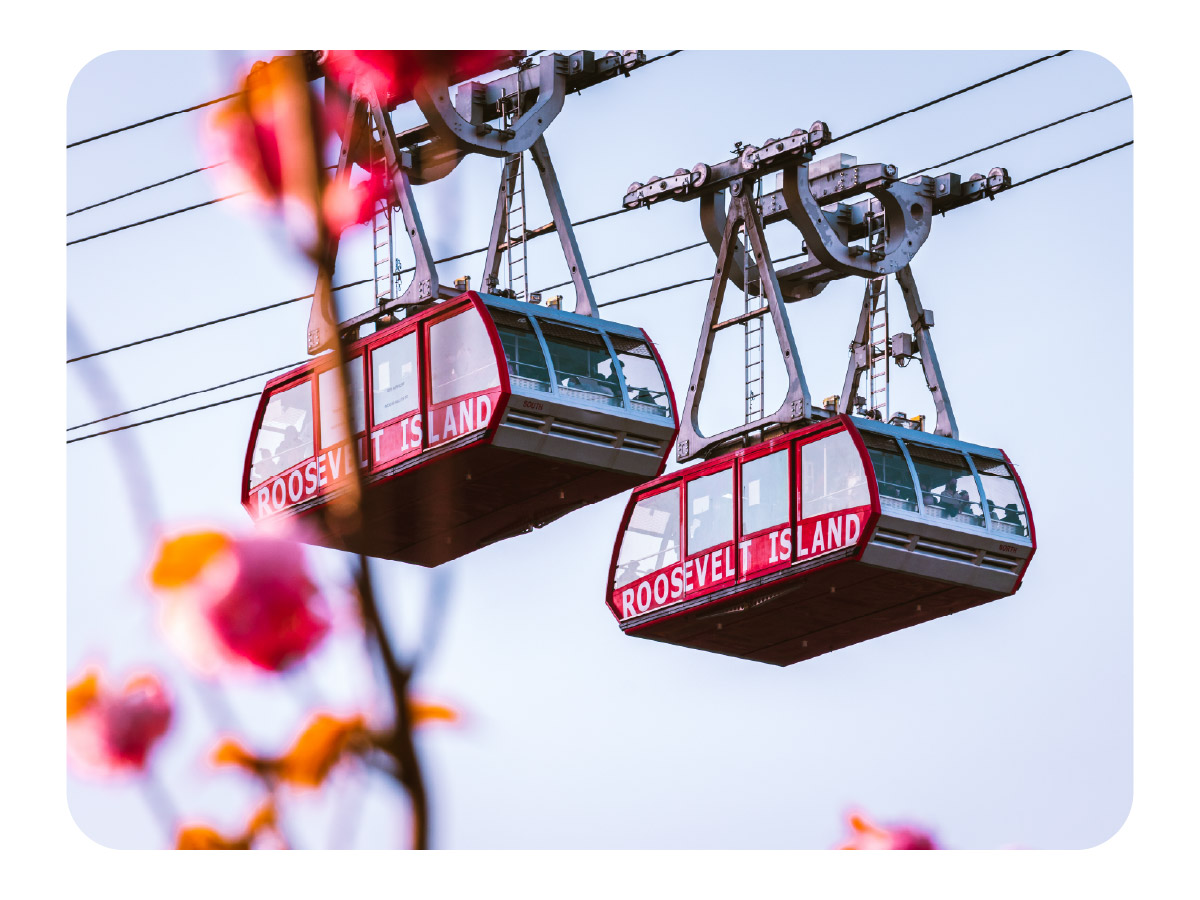 Roosevelt Island Fall