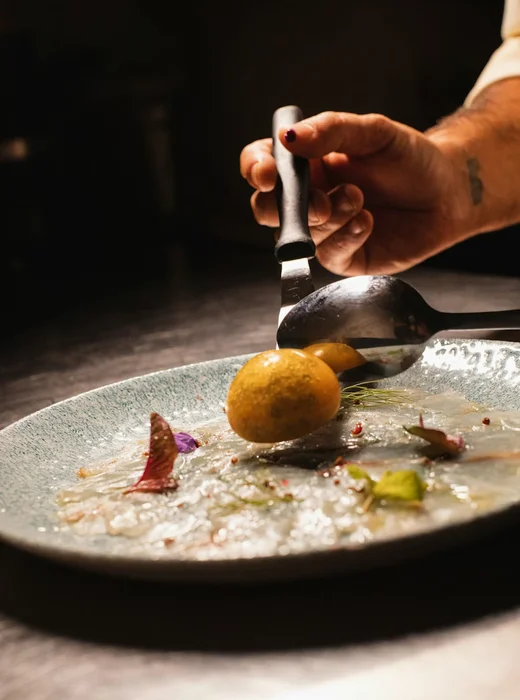 soma dining