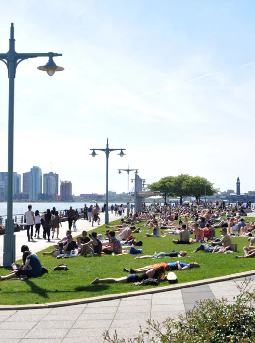 tribeca neighborhood