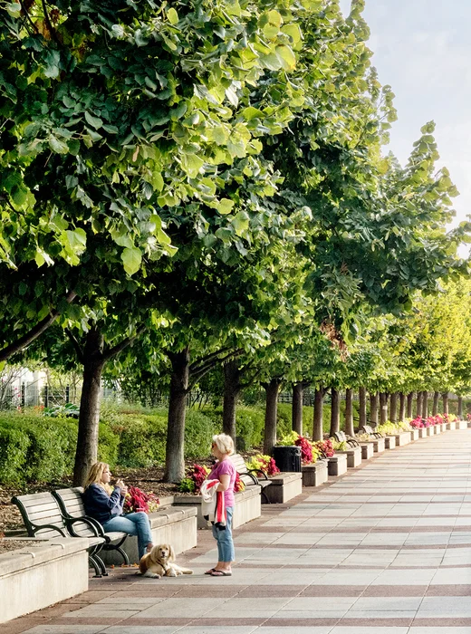 400 Lake Shore Drive