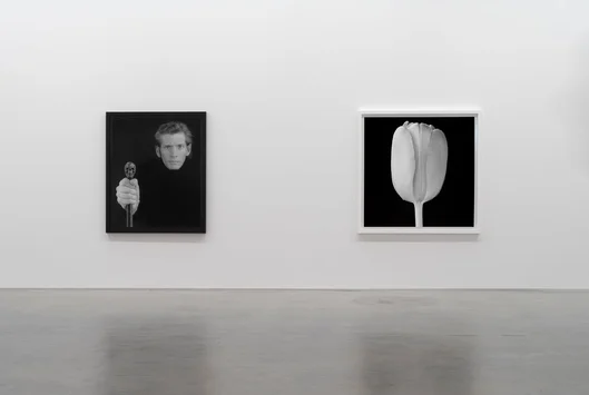 art gallery chelsea exhibition gladstone gallery