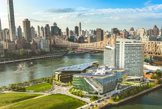 roosevelt island scenery