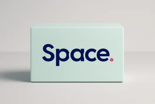 Space Storage Box