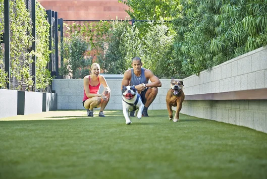 Emerson dog run pet amenities 