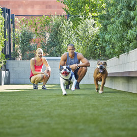 The pet-friendly Emerson features an on-premises pet spa and an on-site dog run.