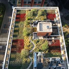 The living roof mitigates runoff and provides green space.