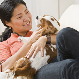 All Related Rentals buildings are pet friendly, so bring your dogs and cats, and let them enjoy the same level ofˇservice as their happy owners!
