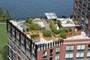 Take in spectacular waterfront views from the rooftop sun terrace.