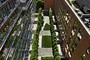 Enjoy views of the lush Zen Garden.