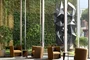 Fifteen Fifty’s 12,000-square-foot private park.