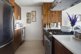 Indulge your inner chef in these gourmet kitchens with stainless steel appliances and custom wood cabinetry.