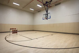 The half basketball court offers a regulation-height basketball goal.