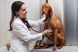 The pet friendly building includes an on-premises Dog City, offering convenient in-building veterinary services.