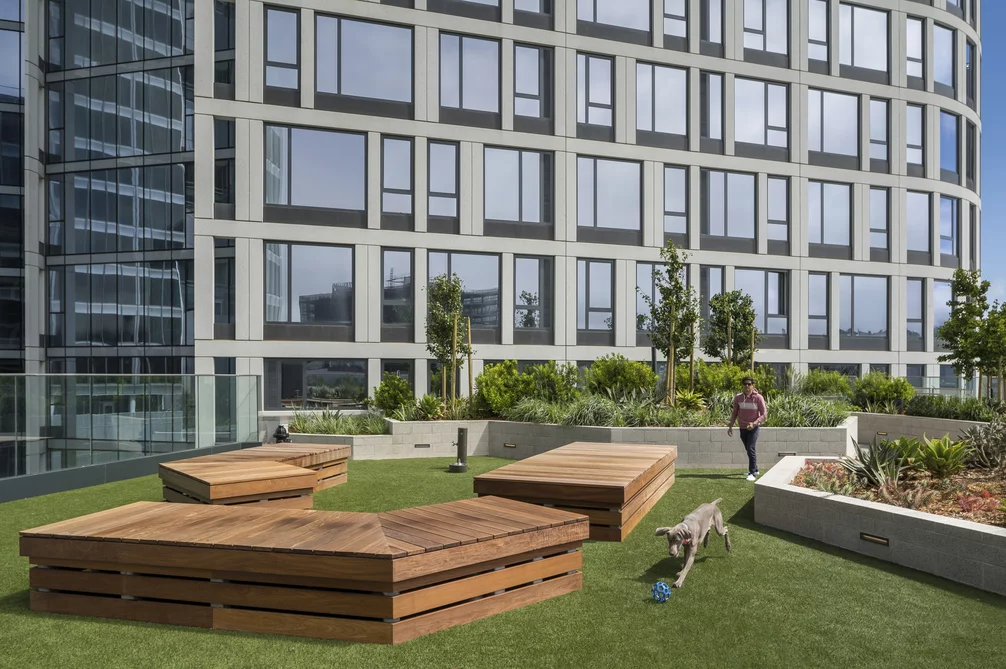 fifteen fifty san francisco amenities