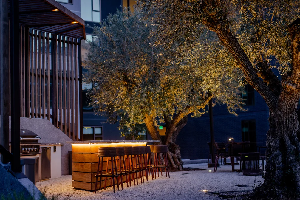 BBQ area and outdoor dining