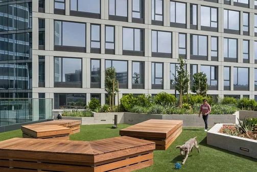 Commitment to Wellness