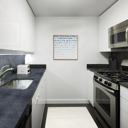 Gourmet kitchens.