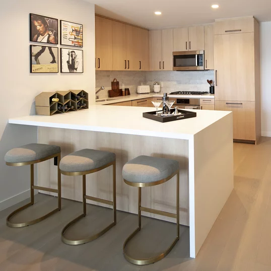 Gourmet kitchens