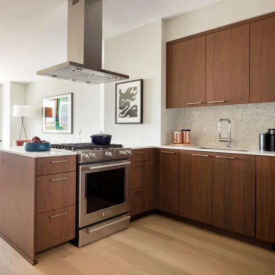 Gourmet kitchen