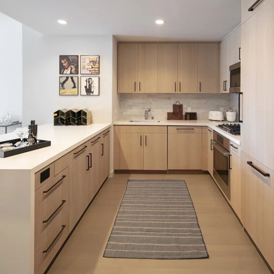 Gourmet kitchens