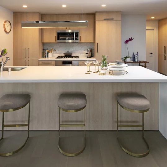 Gourmet kitchens