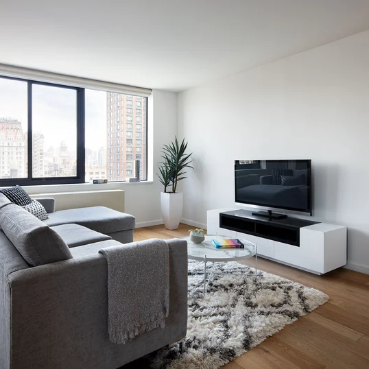 Sundrenched living rooms