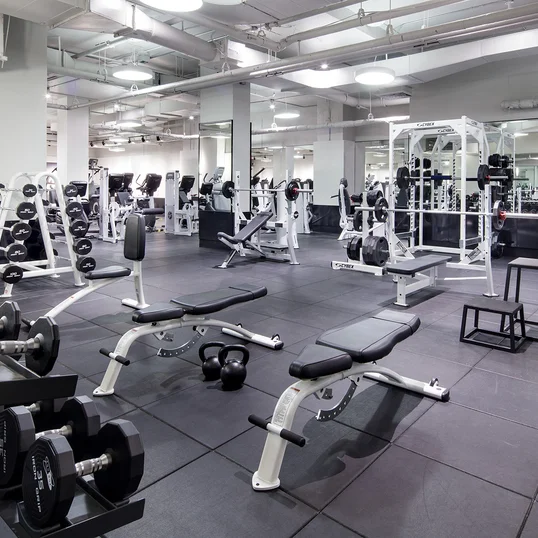 State-of-the-art fitness center curated by Equinox®