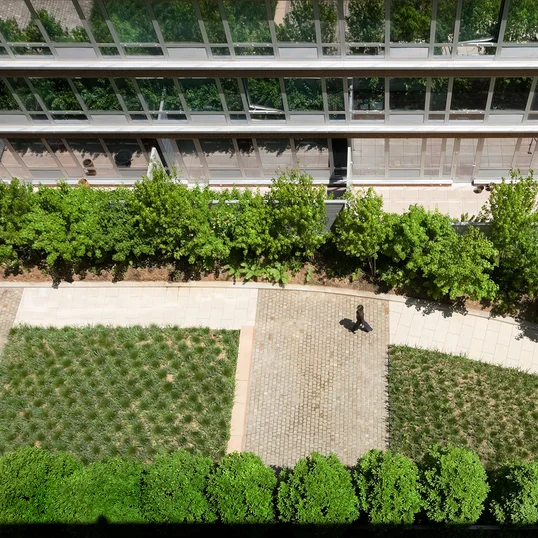 Enjoy views of the lush Zen Garden.