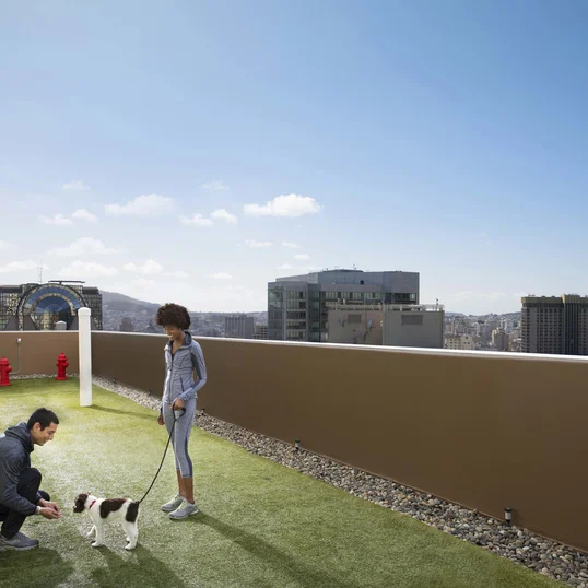 The Paramount is a pet friendly building.