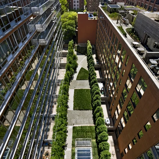 Enjoy views of the lush Zen Garden.
