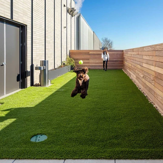 10K features a rooftop dog run.