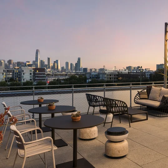 Rooftop Terrace with barbecue grills, fire pits and outdoor TVs set against views of the city skyline