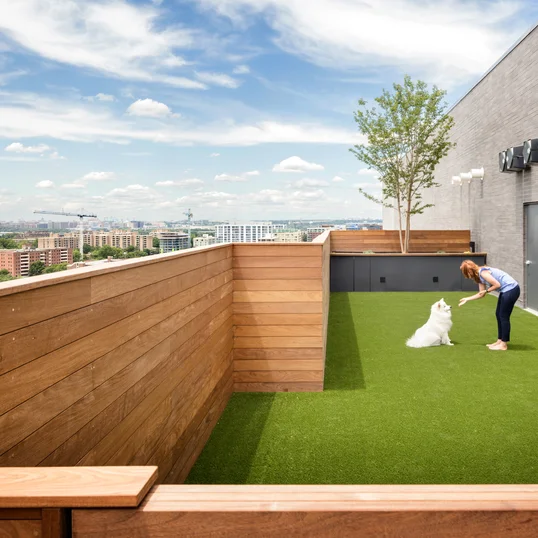 Rooftop dog run with pet spa onsite.