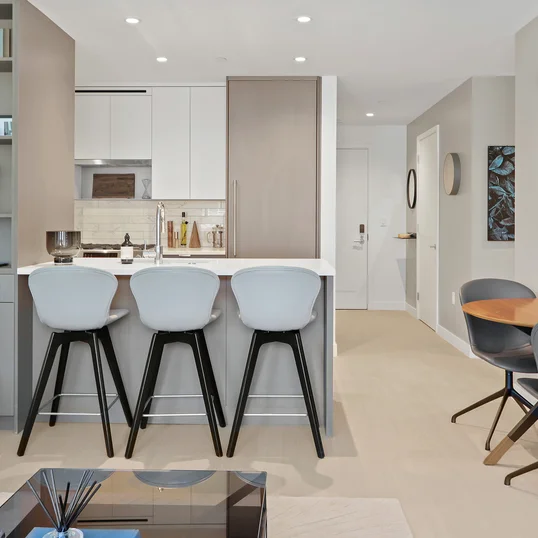 Open kitchen with custom cabinetry, premium stainless steel, gas appliances and flexible dining space