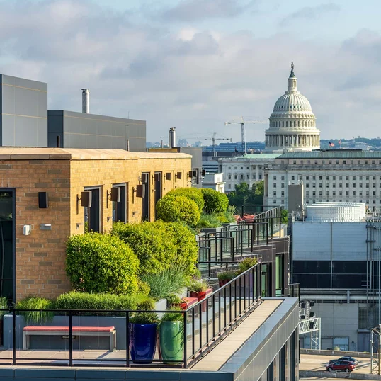 One Hill South Views