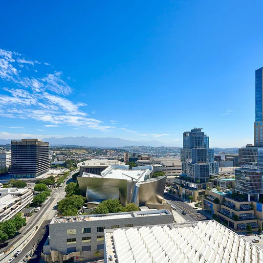 Views at The Emerson