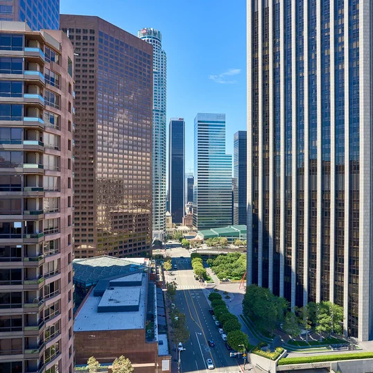 Views at The Emerson