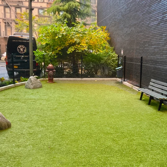 Courtyard Dog Run