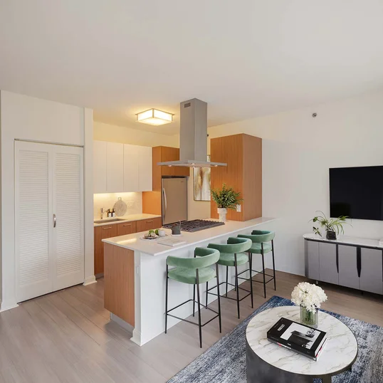 500 Lake Shore Drive